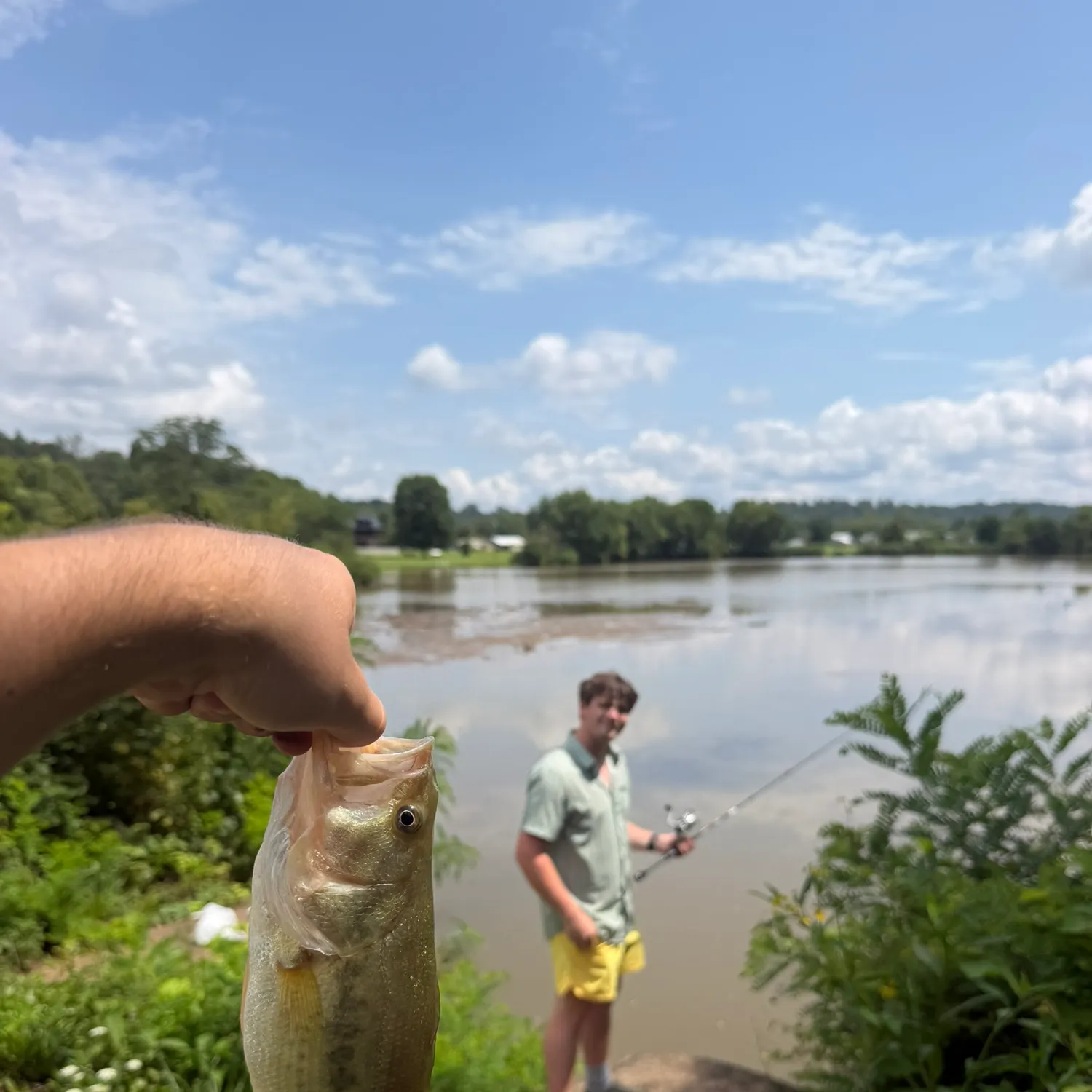 catch