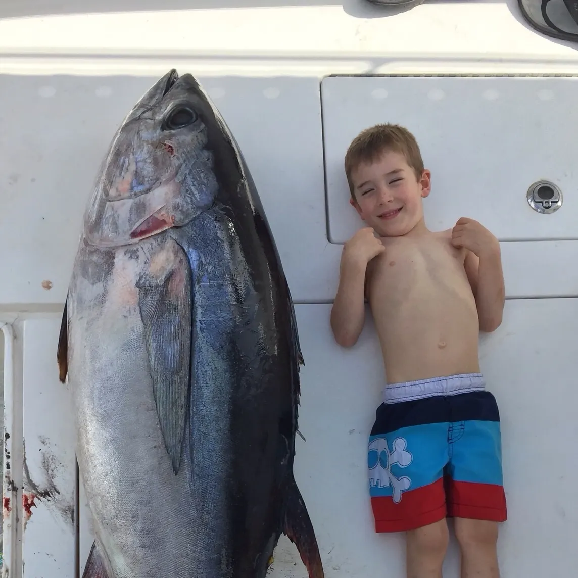 The most recent Bigeye tuna catches on Fishbrain