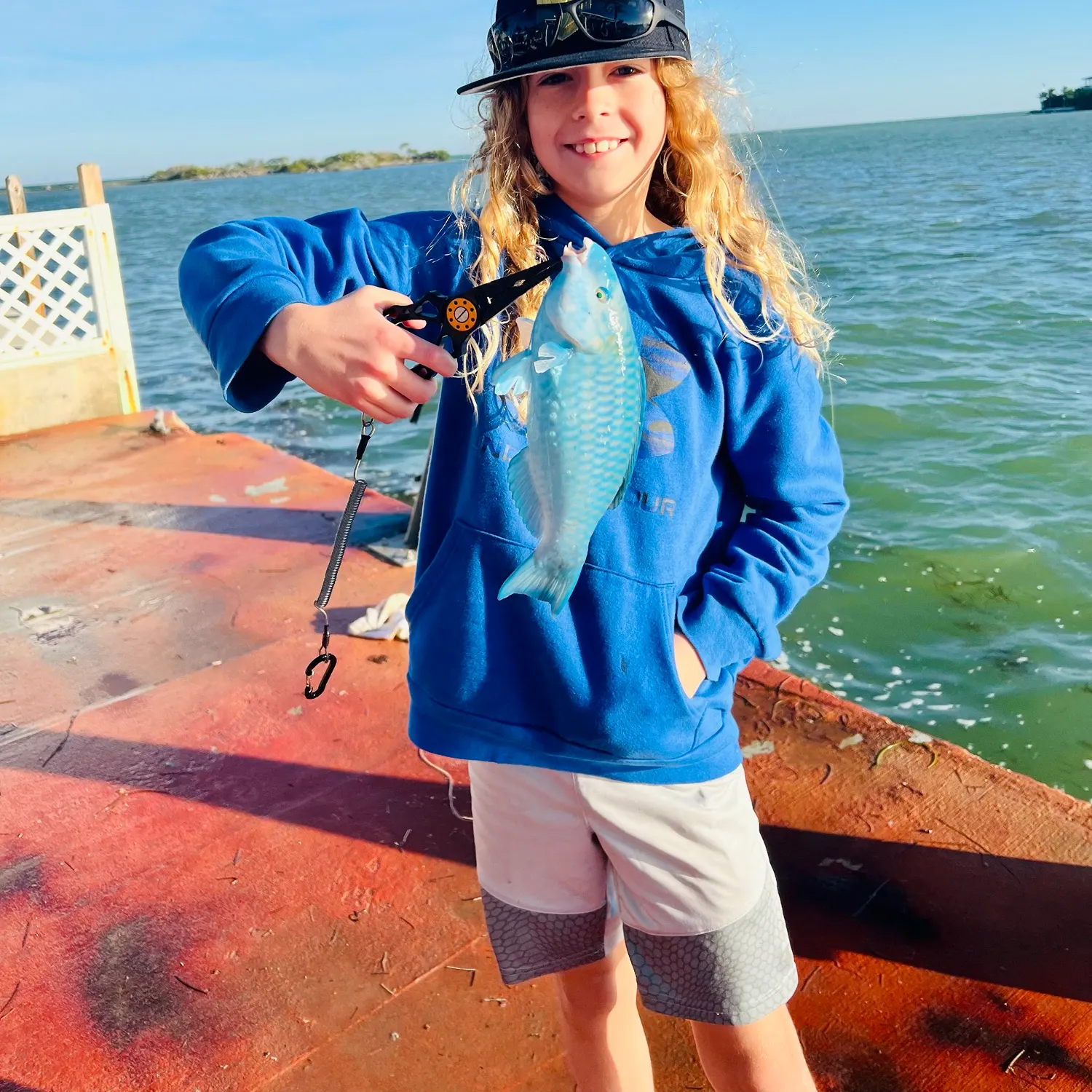 The most recent Blue parrotfish catches on Fishbrain