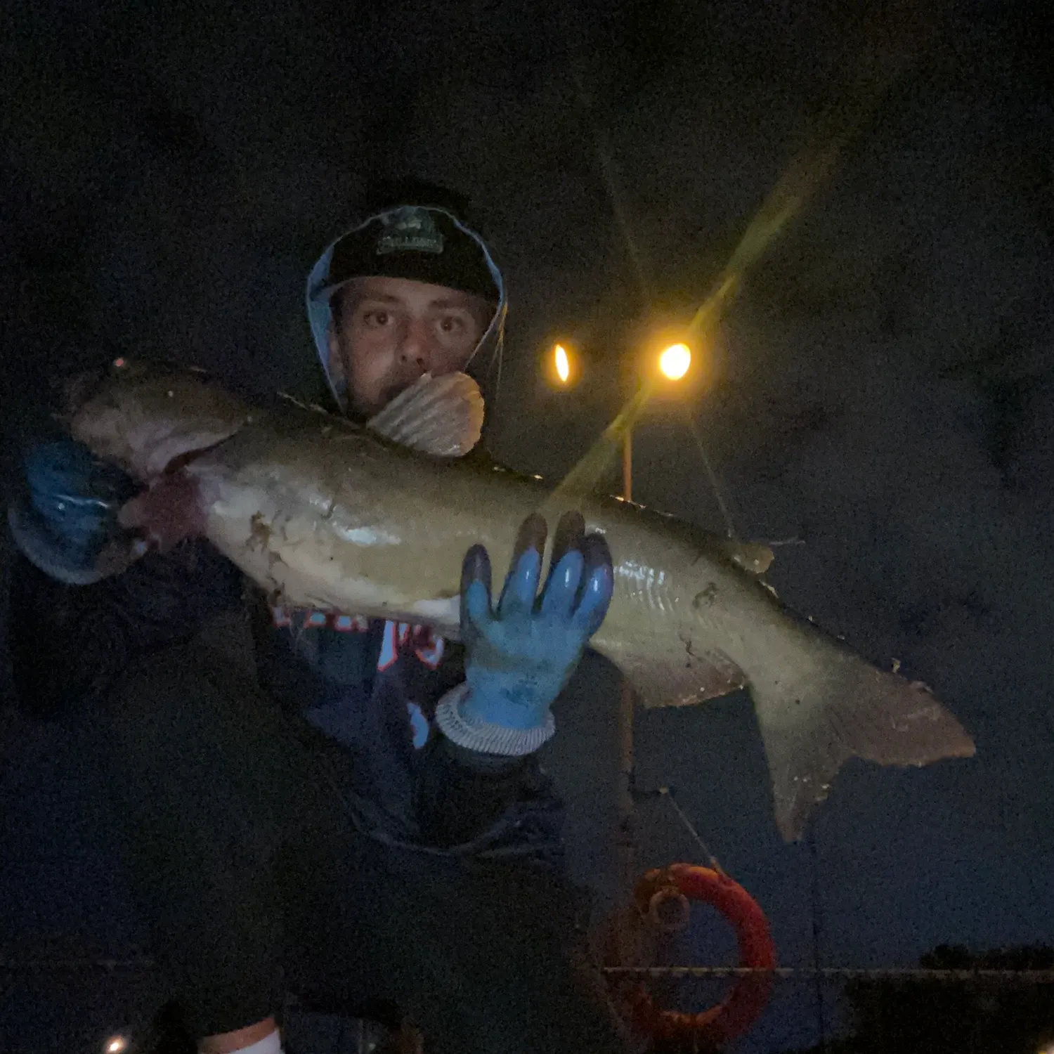 Channel catfish caught on Fishbrain