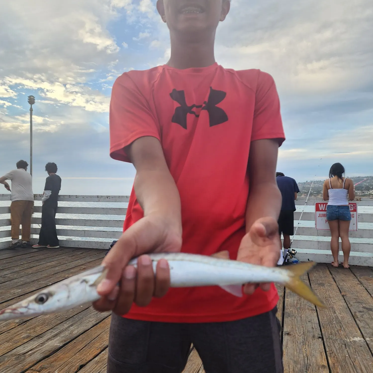 Pacific barracuda caught on Fishbrain