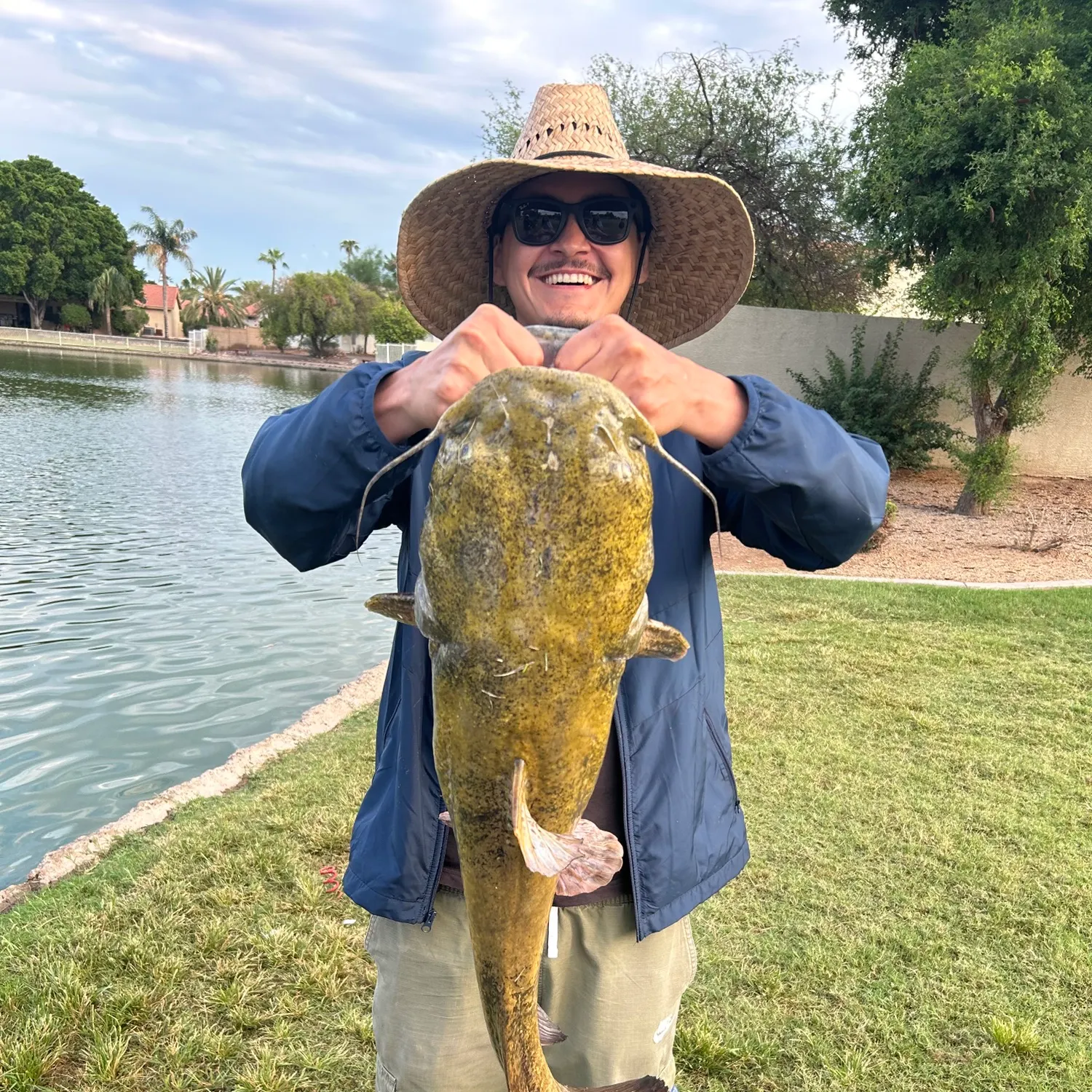 Flathead catfish caught on Fishbrain