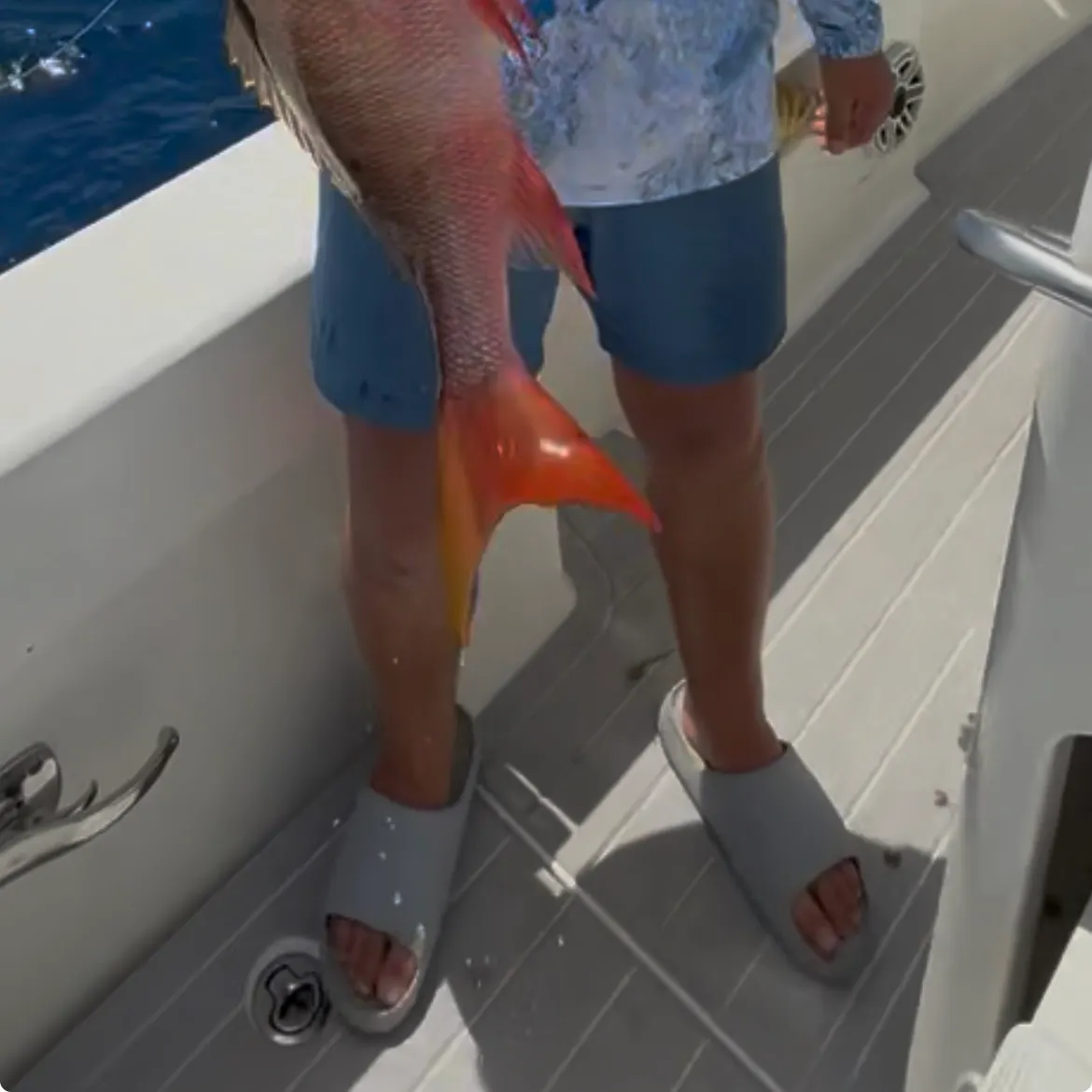 The most recent Mutton snapper catches on Fishbrain