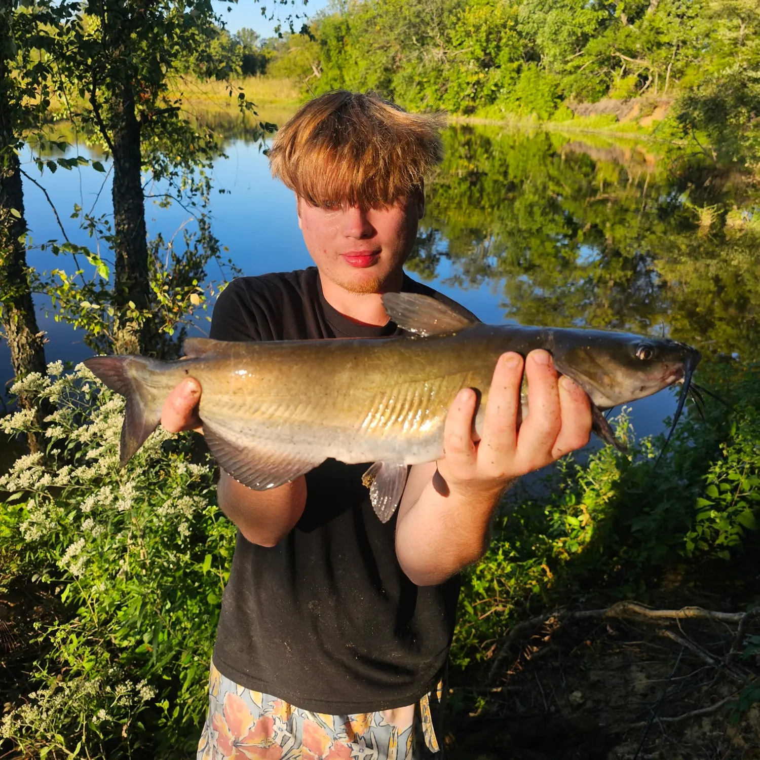 Channel catfish caught on Fishbrain