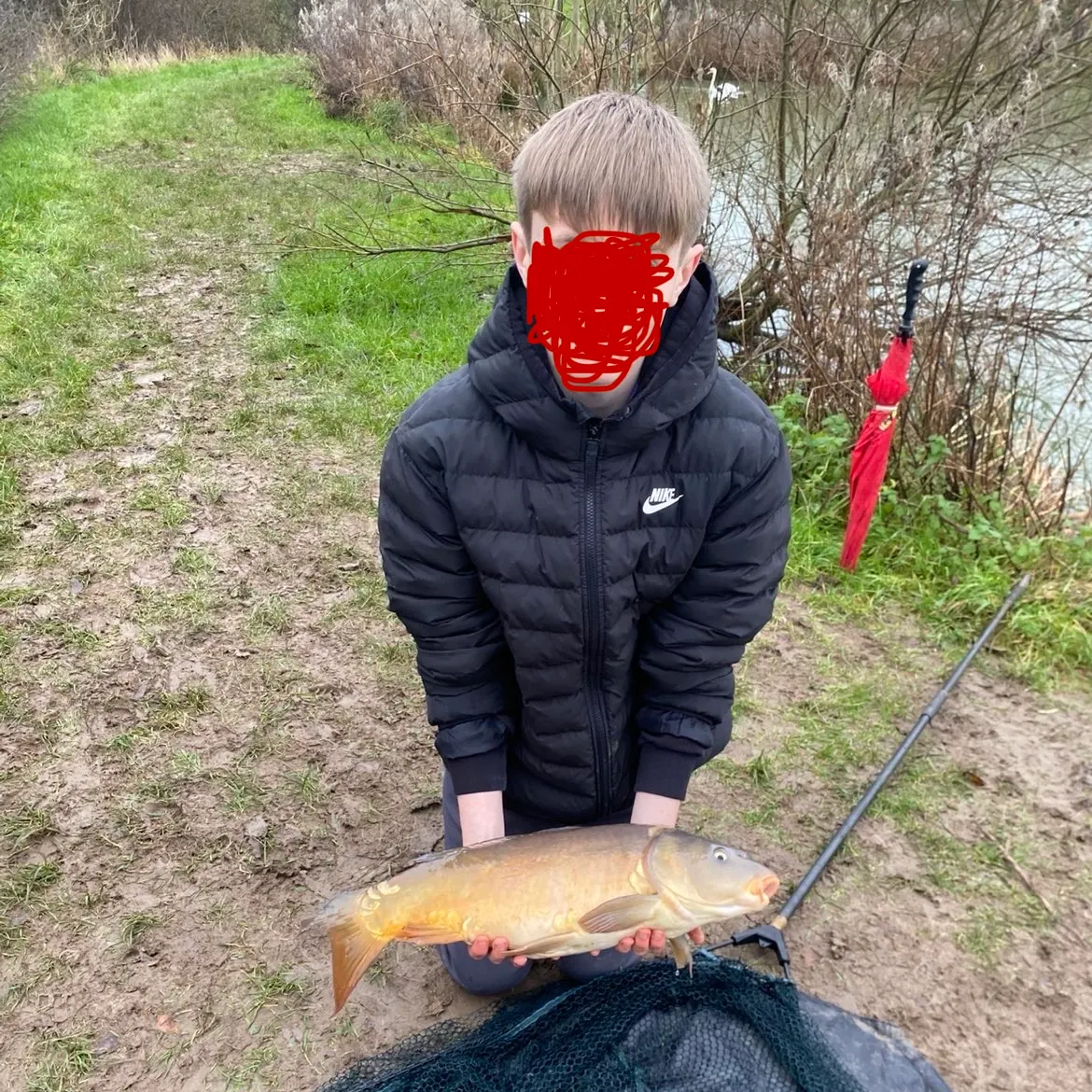 The most recent Leather carp catches on Fishbrain