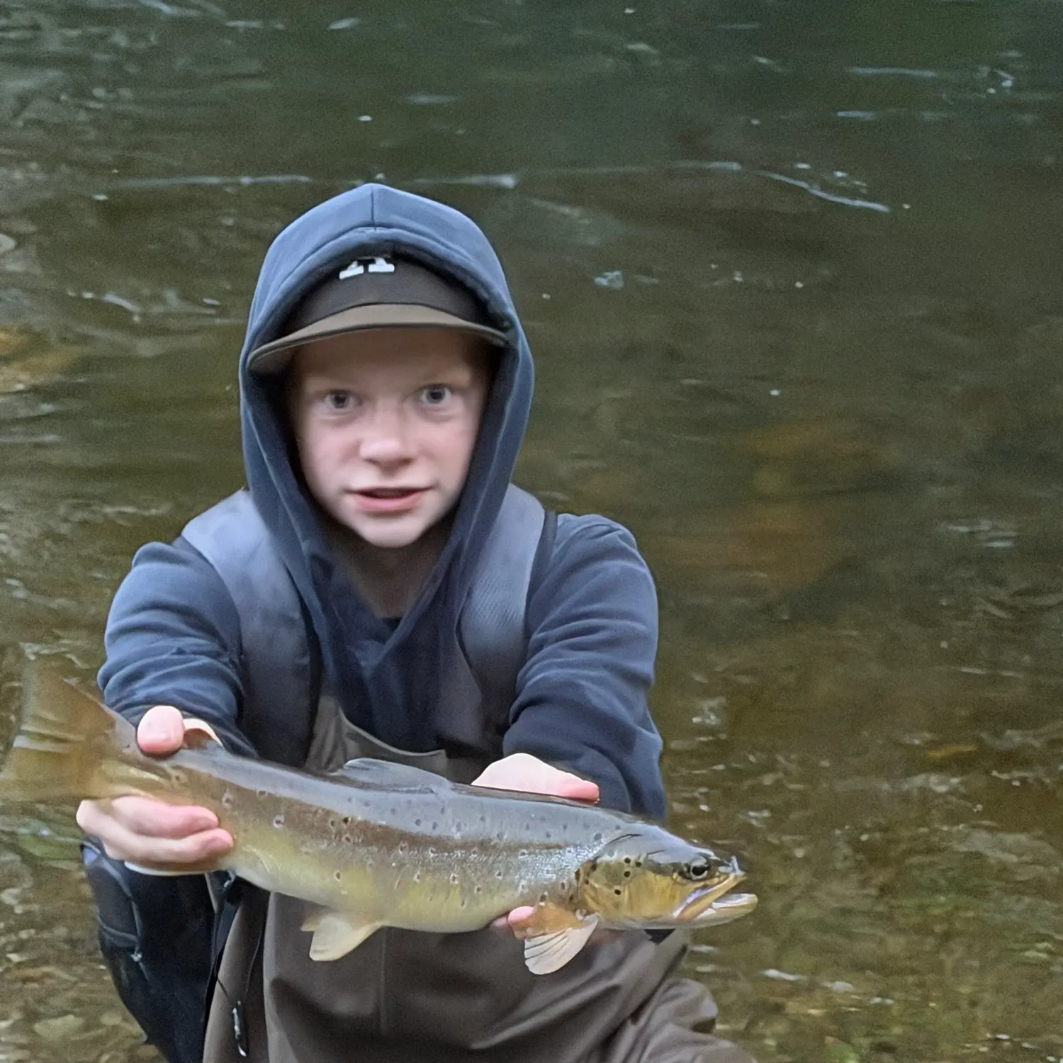 Brown trout caught on Fishbrain