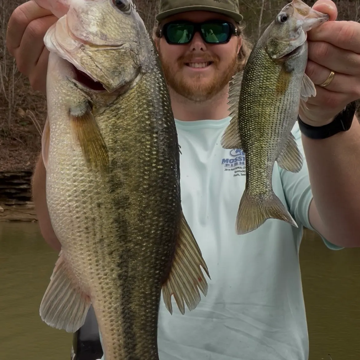 The most recent Redeye bass catches on Fishbrain