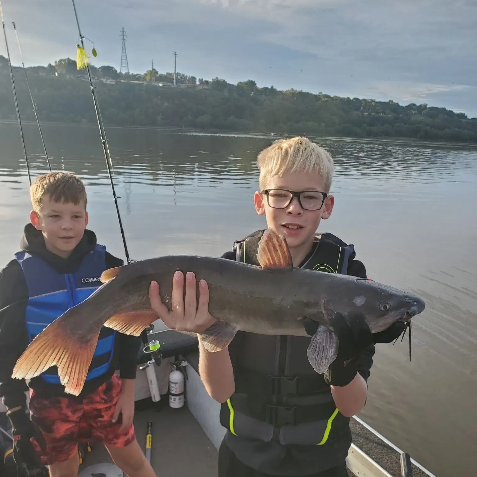 Channel catfish caught on Fishbrain