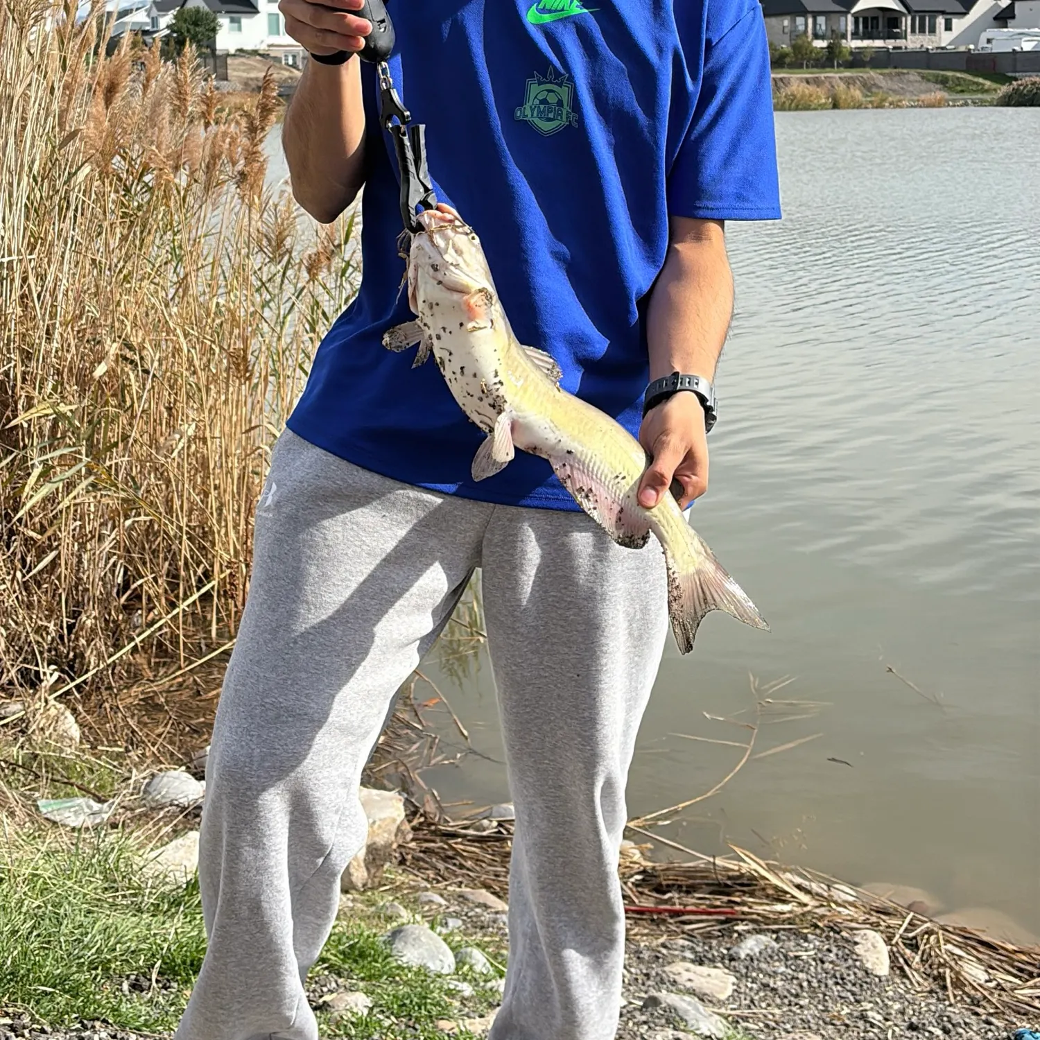 catch