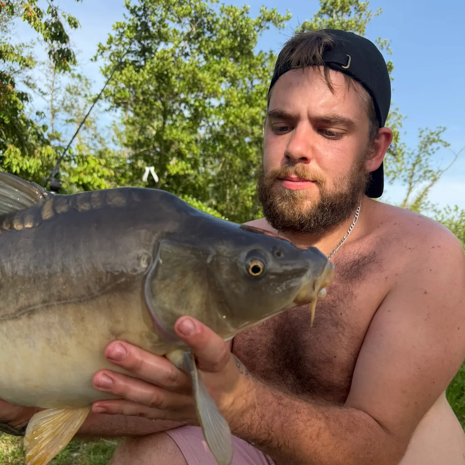 The most recent Leather carp catches on Fishbrain