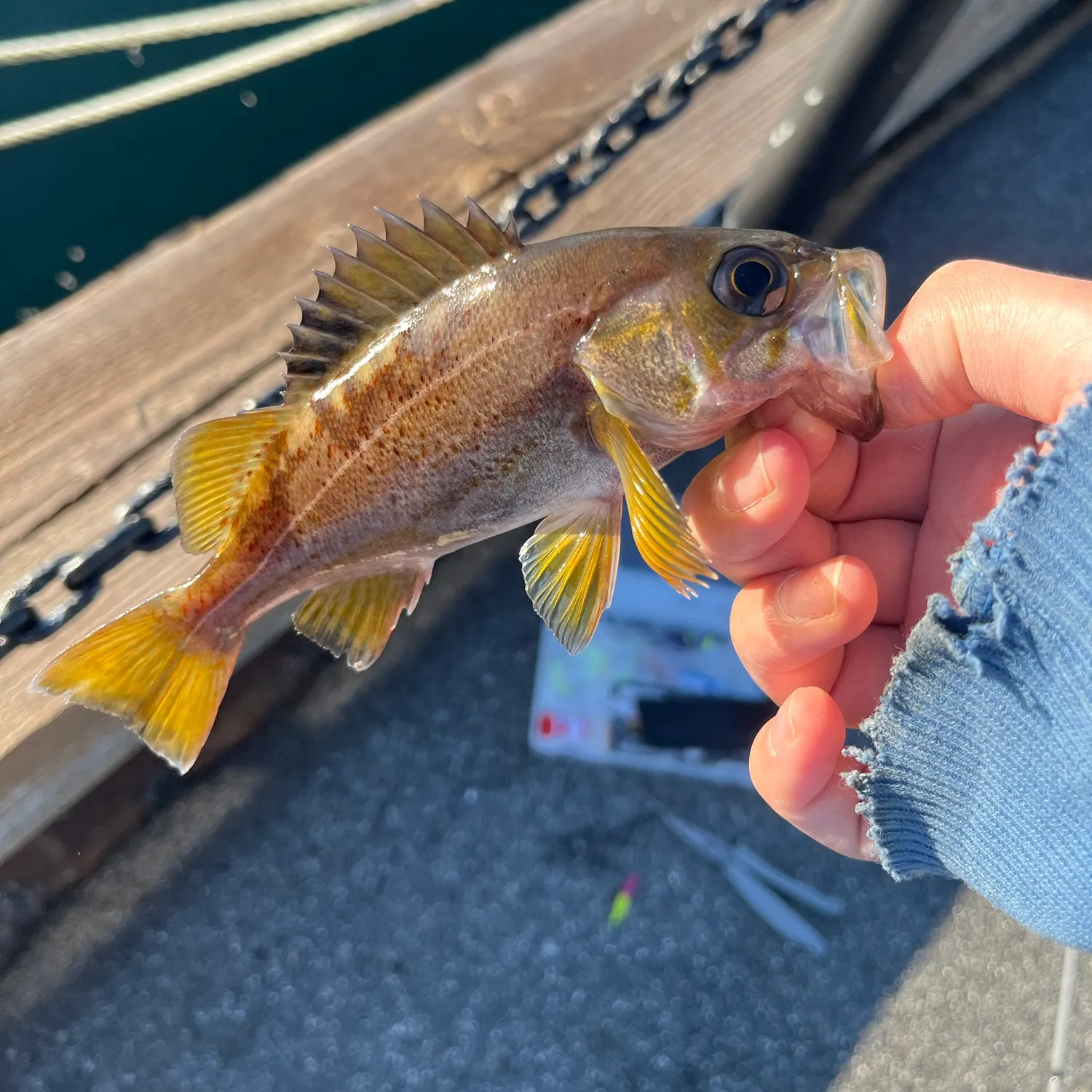 catch