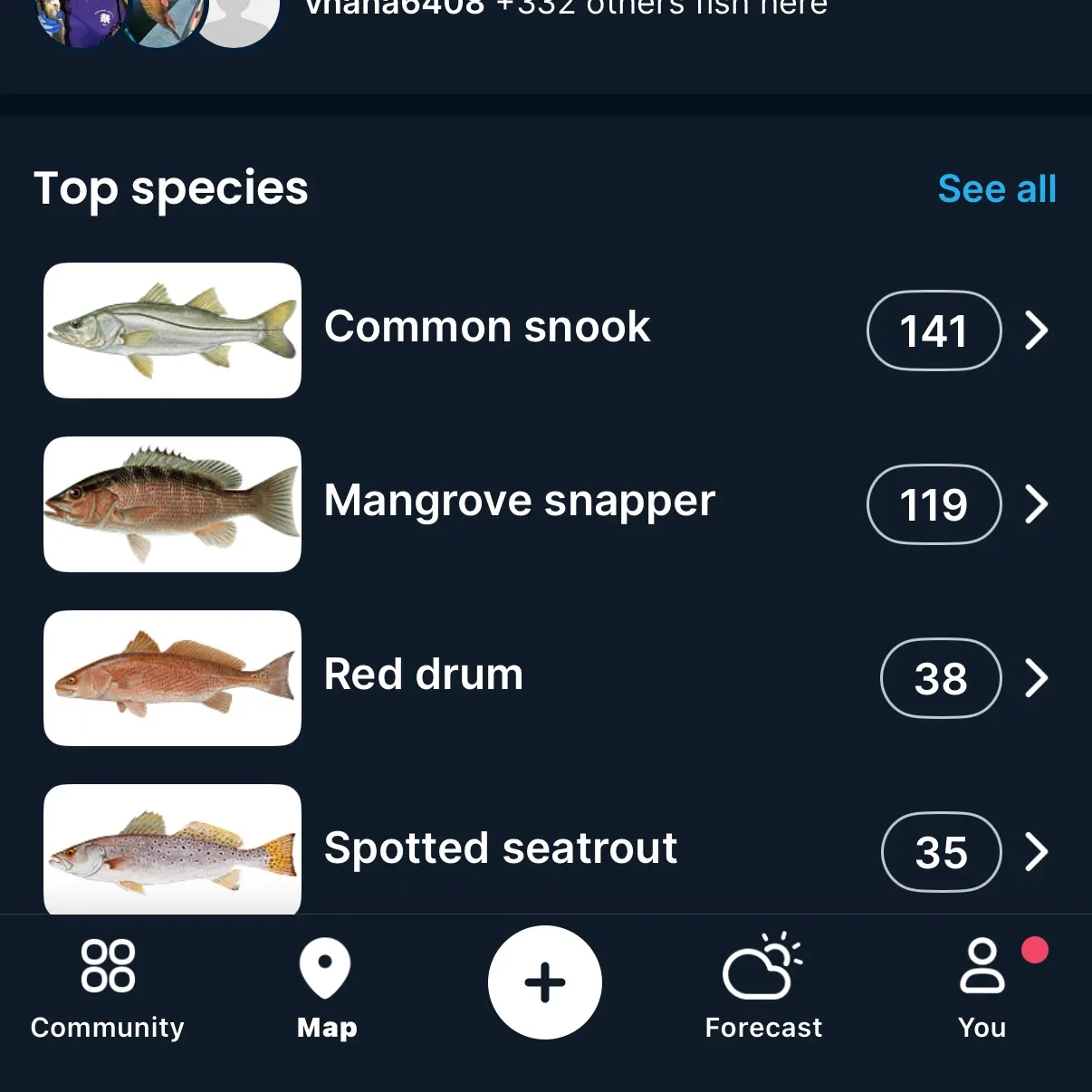 recently logged catches