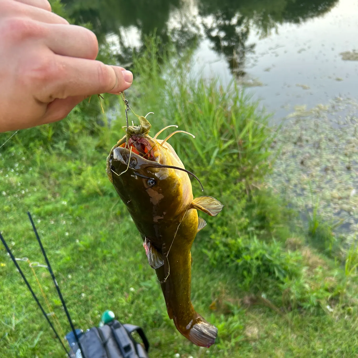 catch