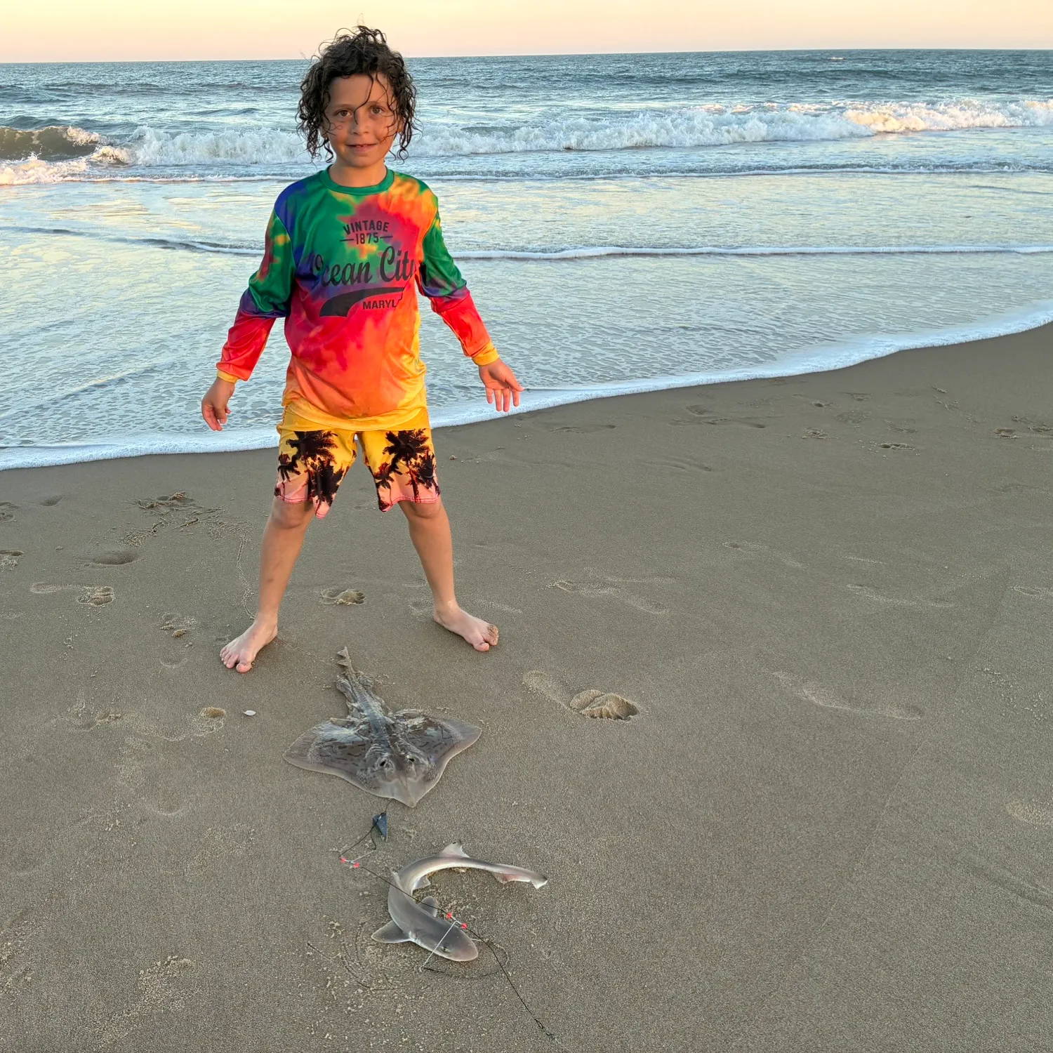 The most recent Dusky shark catches on Fishbrain