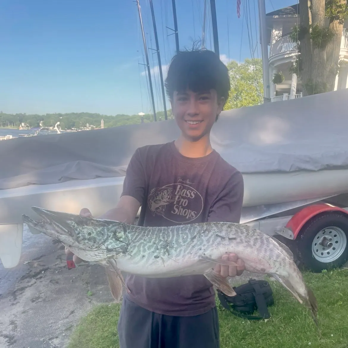 The most recent Tiger muskellunge catches on Fishbrain