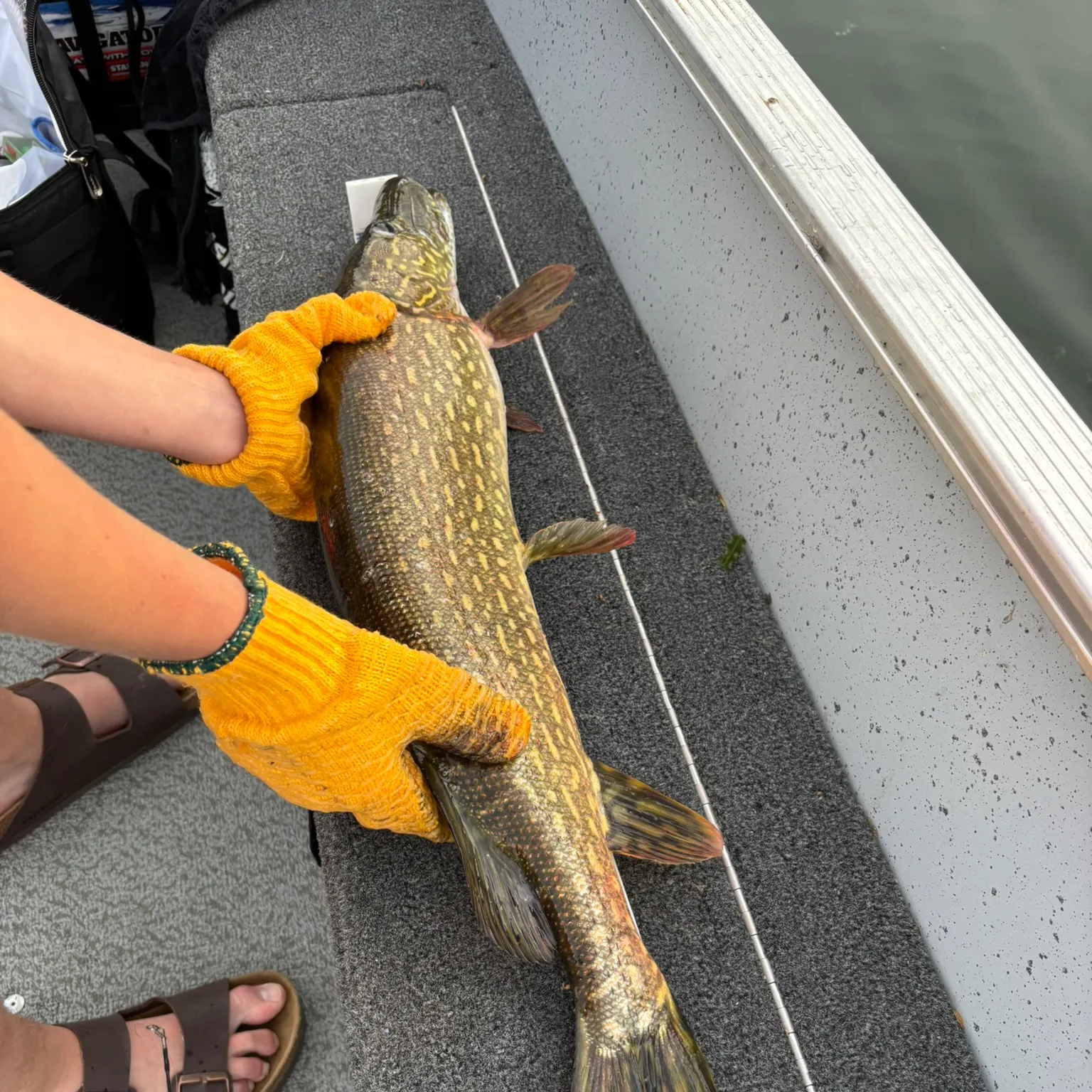 catch