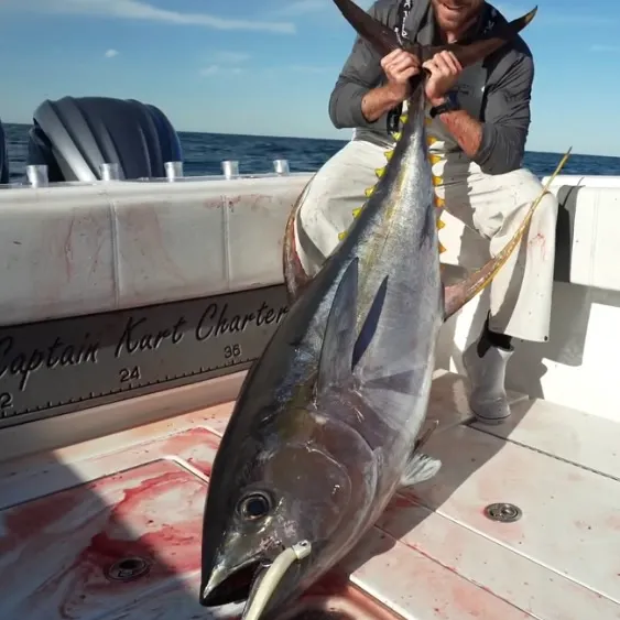 The most recent Yellowfin tuna catches on Fishbrain