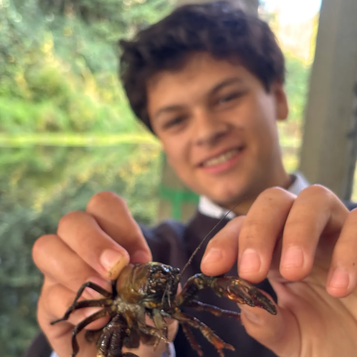 Signal crayfish caught on Fishbrain