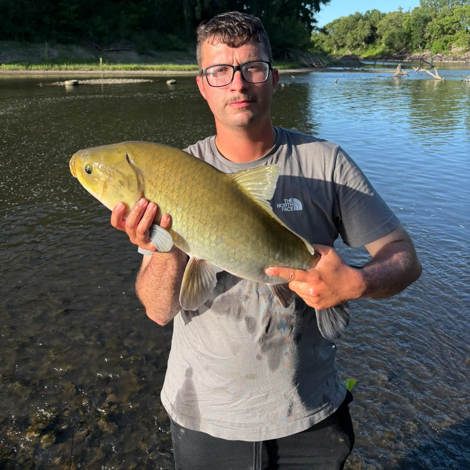 most liked catch image