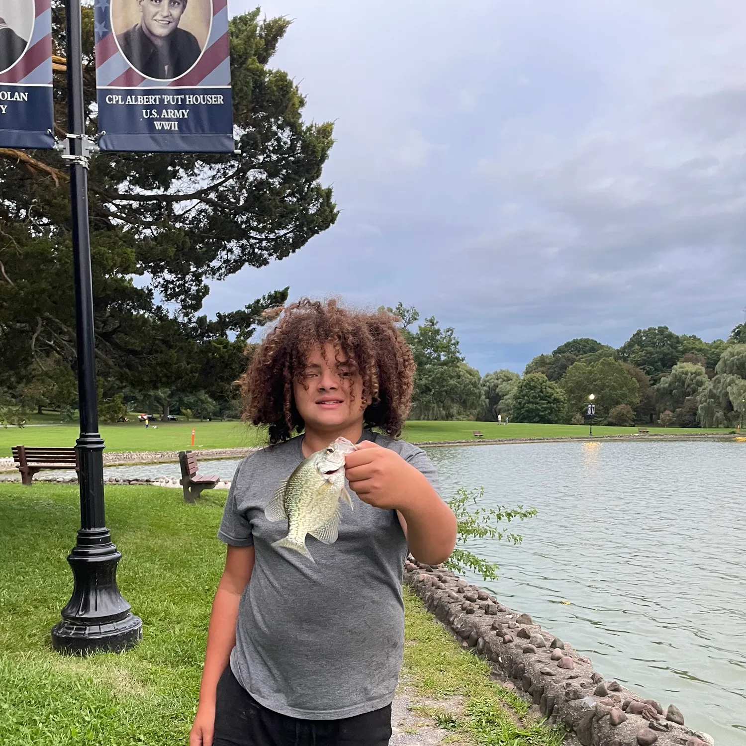 Black crappie caught on Fishbrain