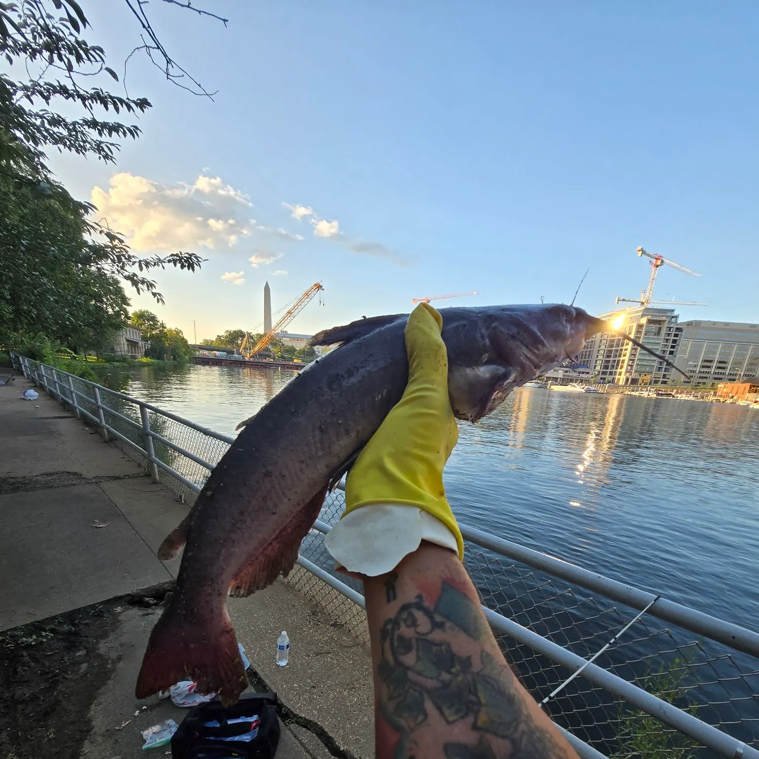 catch