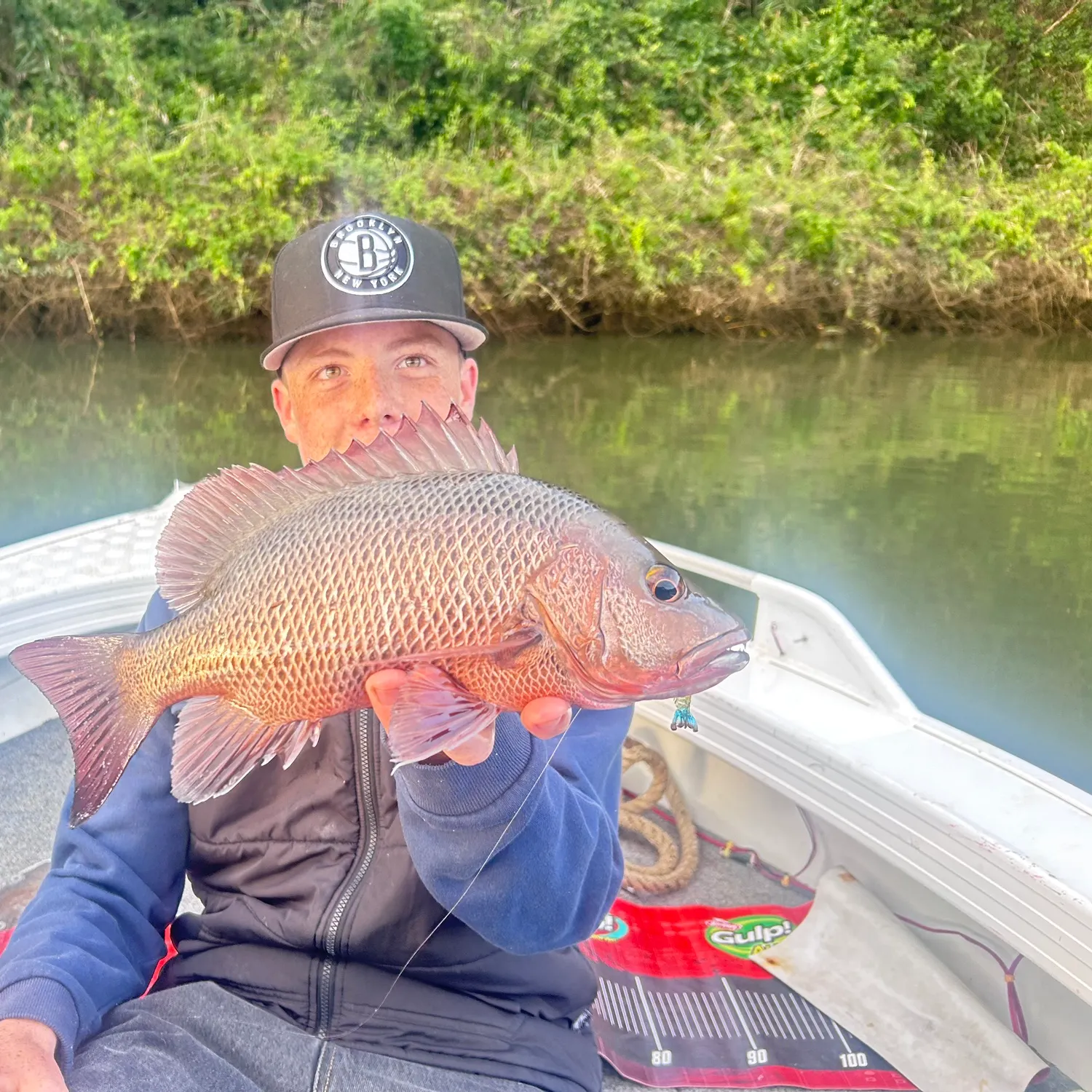 The most recent Mangrove red snapper catches on Fishbrain