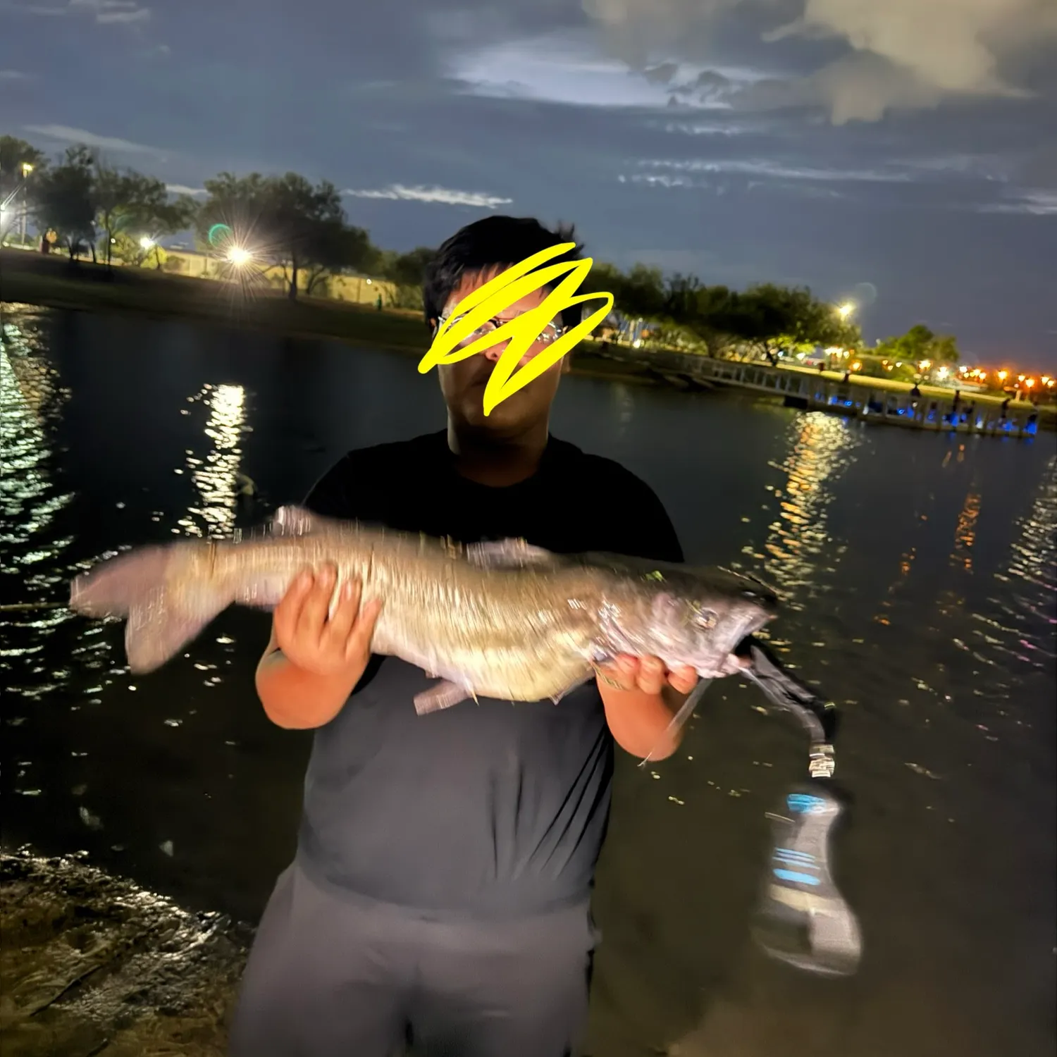 Channel catfish caught on Fishbrain