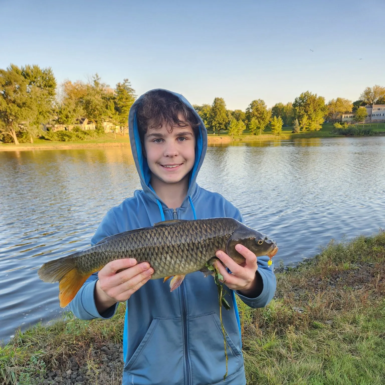 Common carp caught on Fishbrain