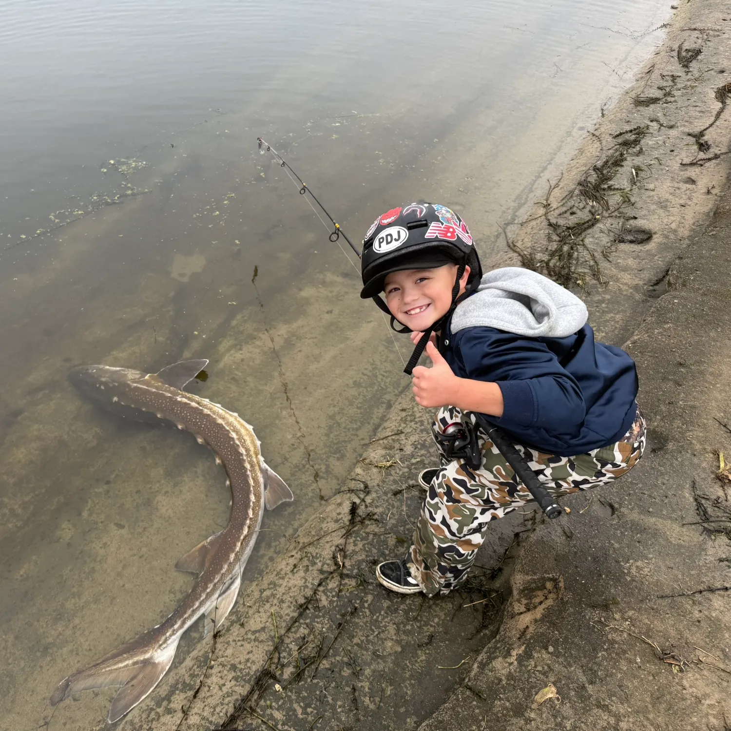 The most recent White sturgeon catches on Fishbrain