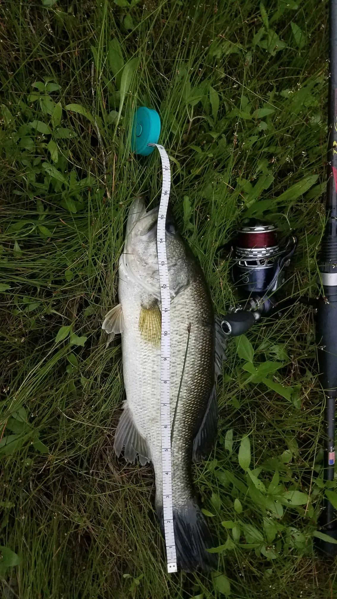 Post image from agraham5897