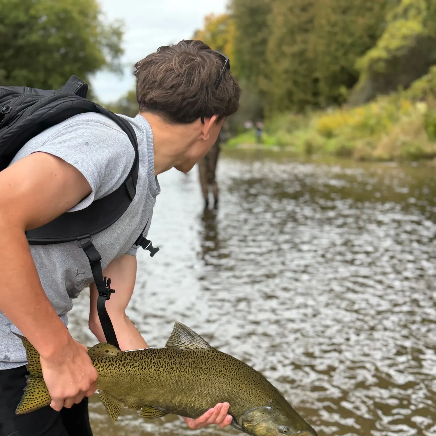 Chinook salmon caught on Fishbrain