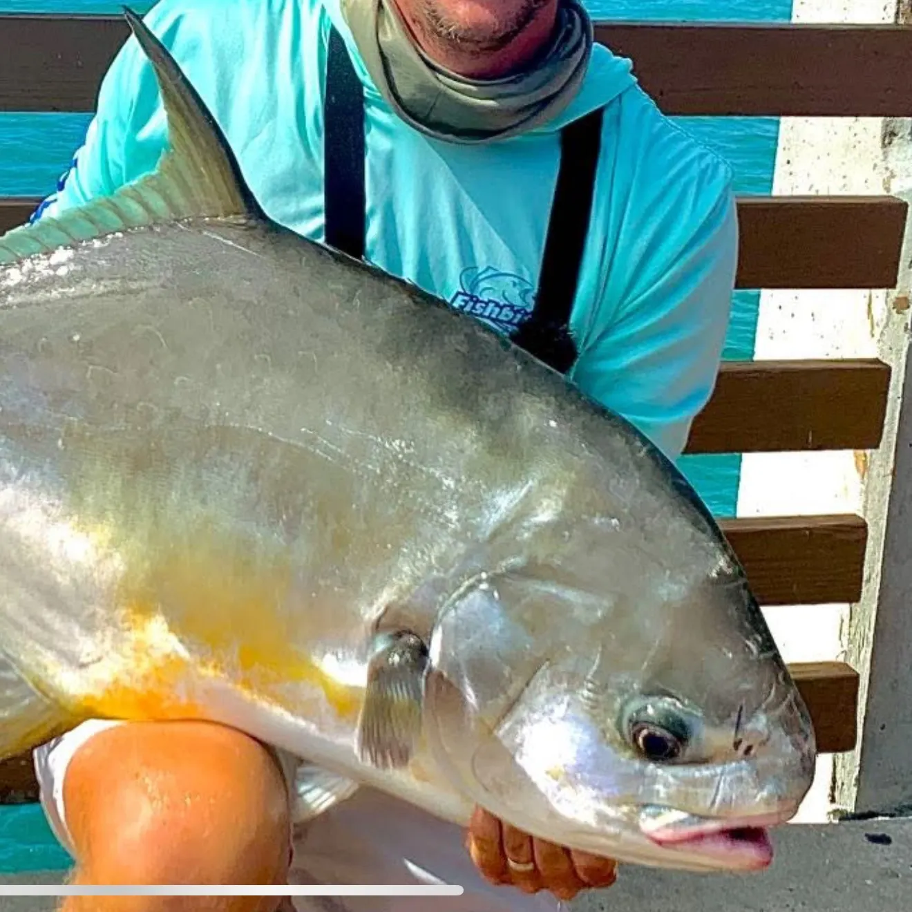 The most recent Permit catches on Fishbrain