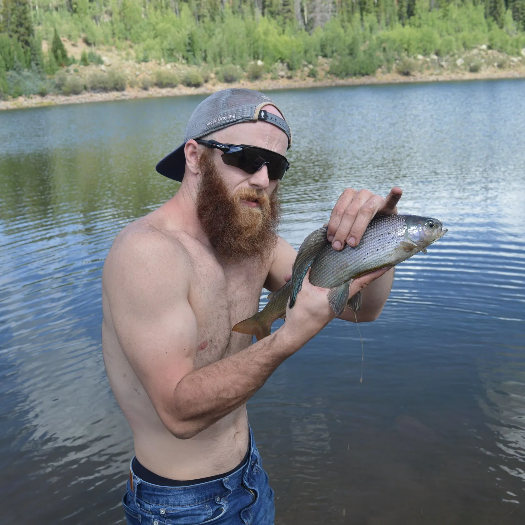 The most recent Arctic grayling catches on Fishbrain