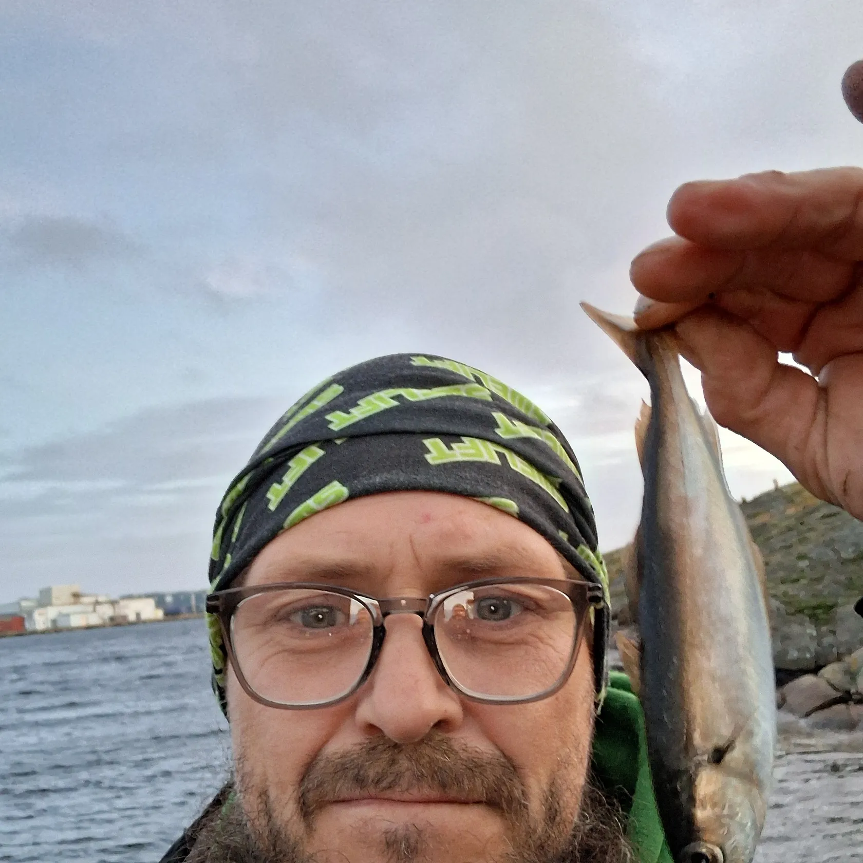 Whiting caught on Fishbrain