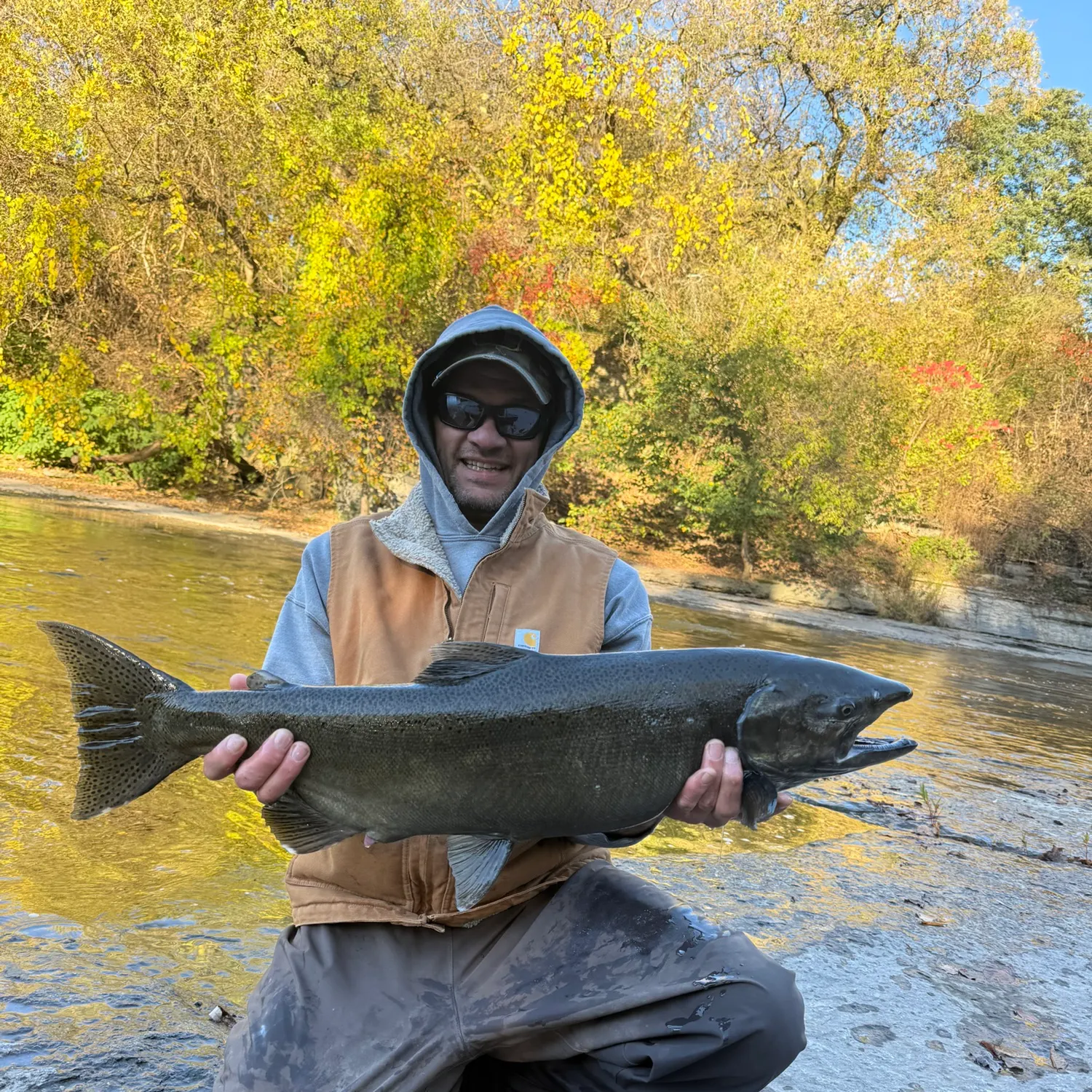 Chinook salmon caught on Fishbrain