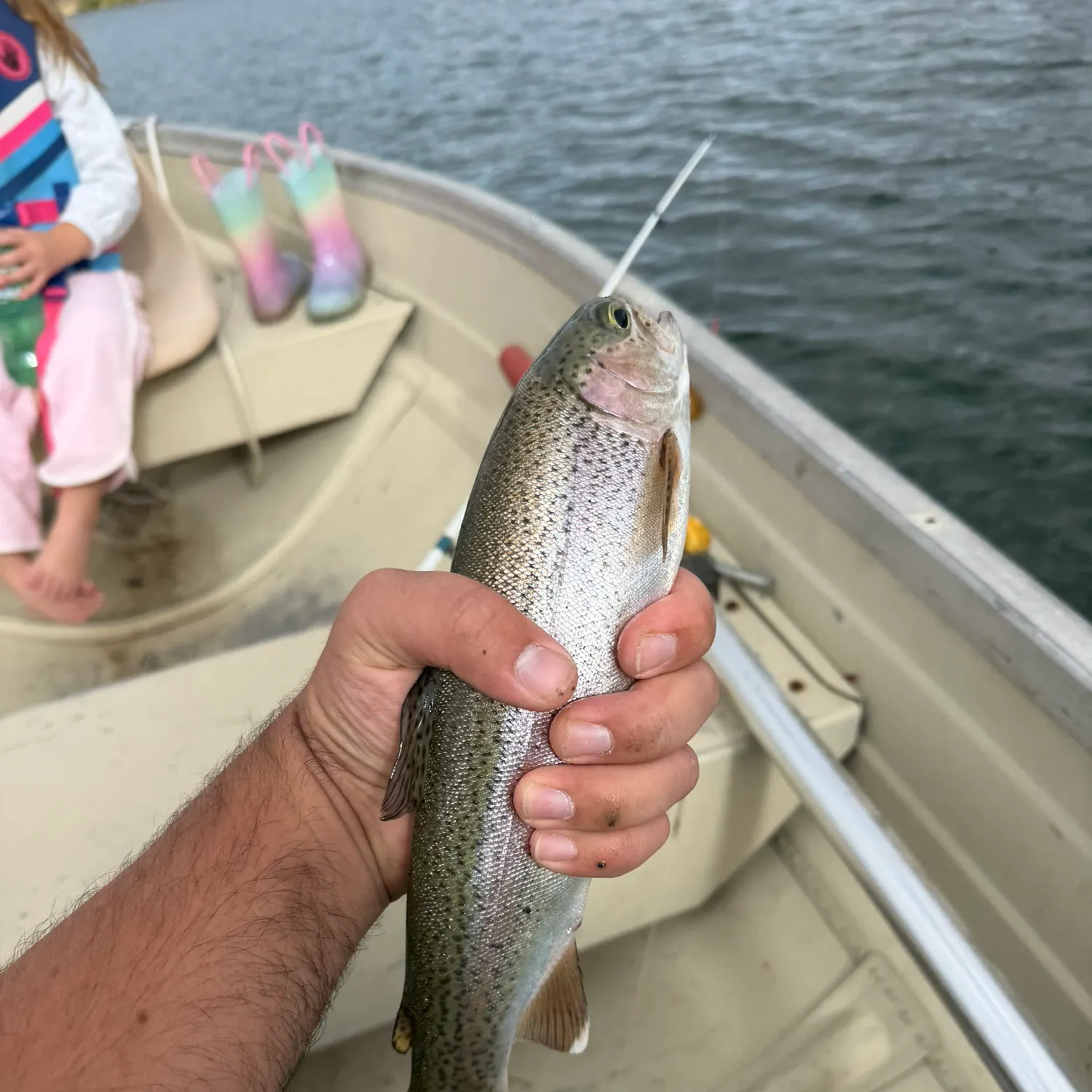 Fish caught on Fishbrain