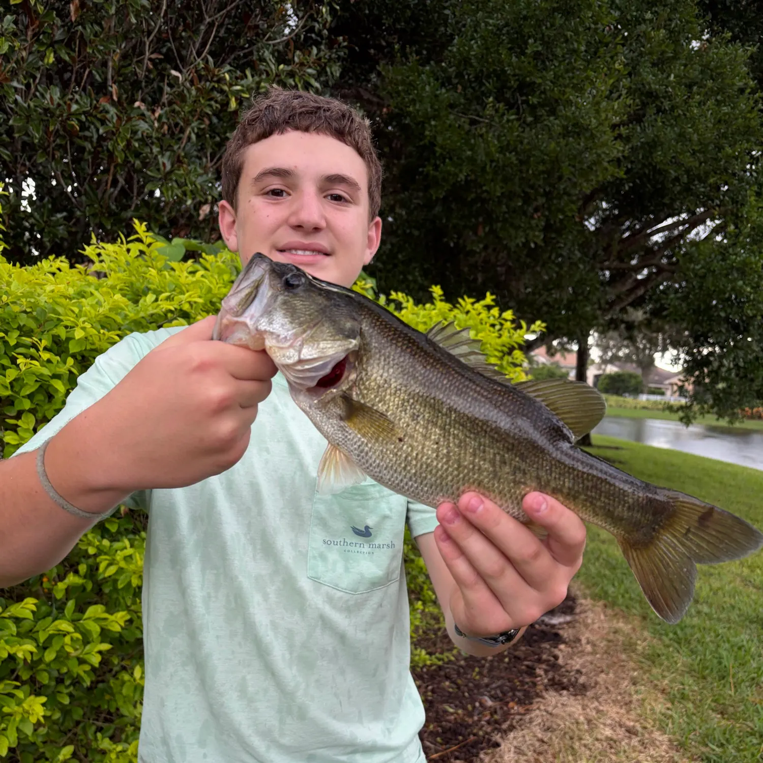 Largemouth bass caught on Fishbrain