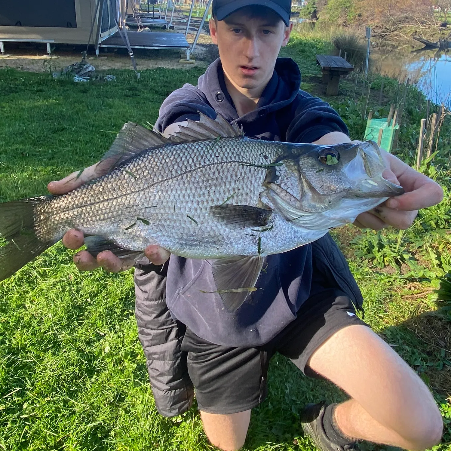 The most recent Estuary perch catches on Fishbrain