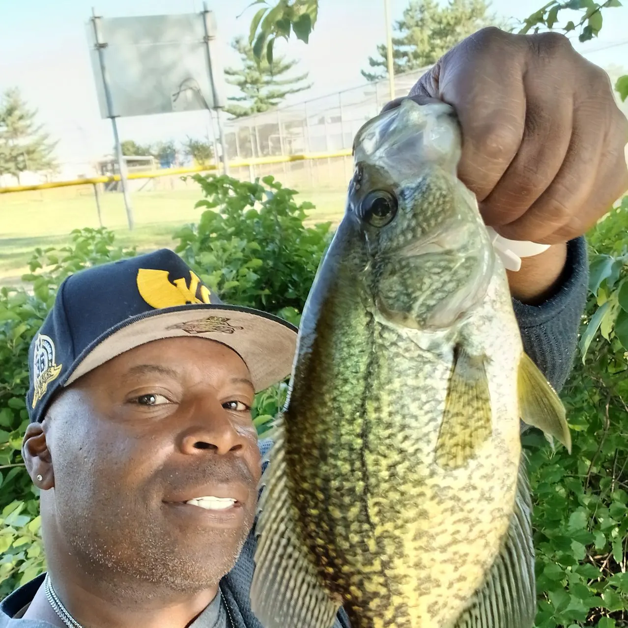 Black crappie caught on Fishbrain