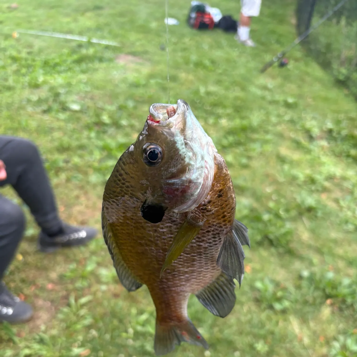 catch