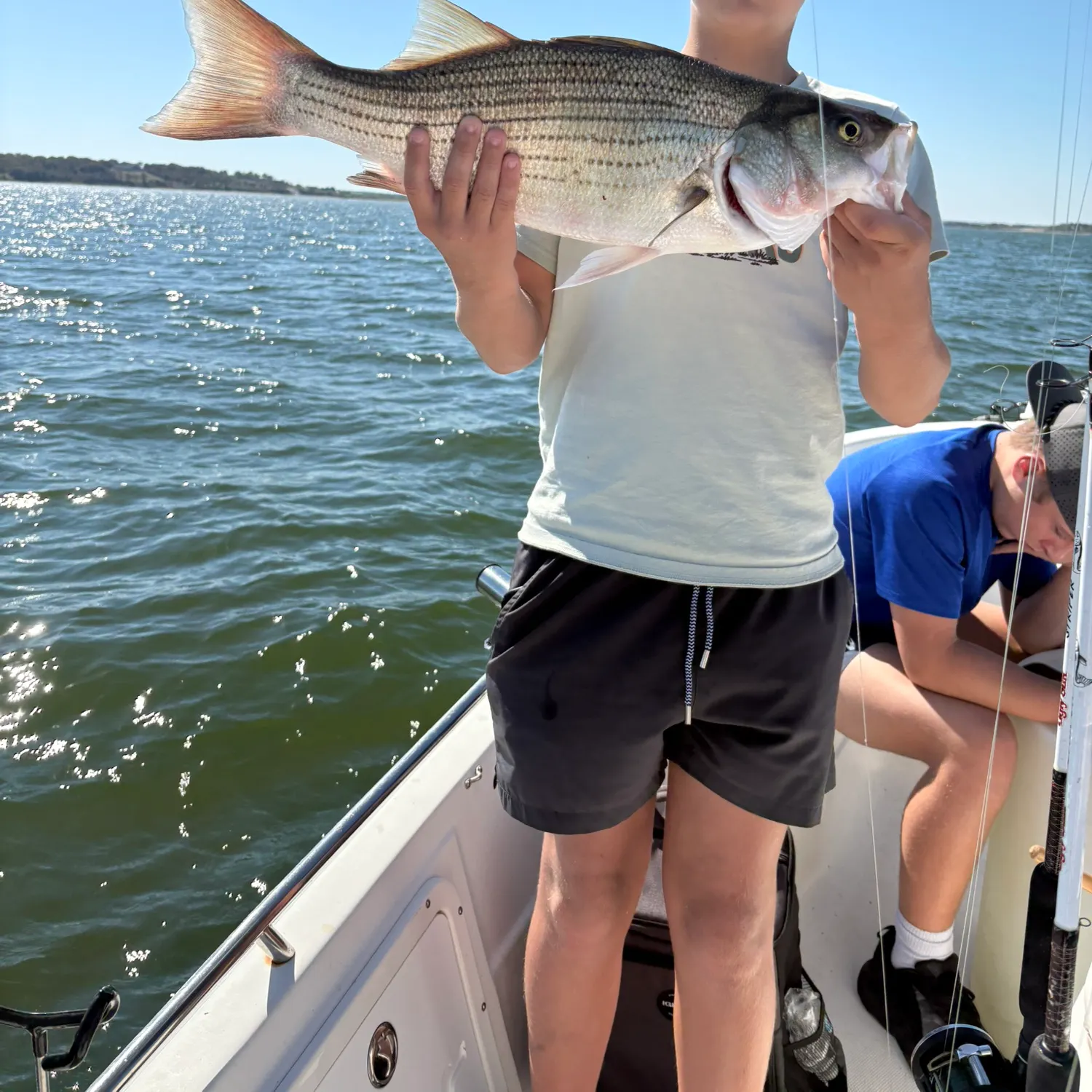 Fish caught on Fishbrain