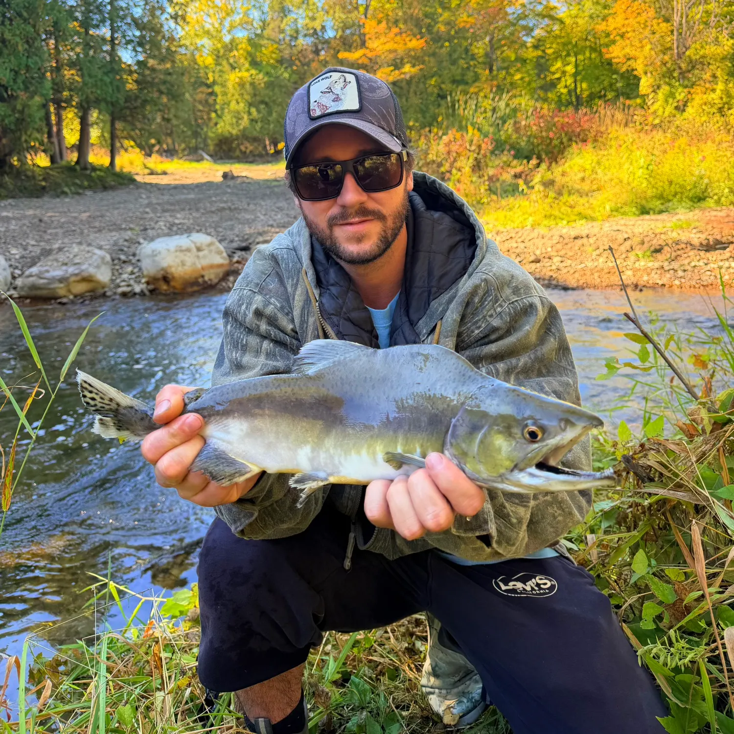 The most recent Pink salmon catches on Fishbrain