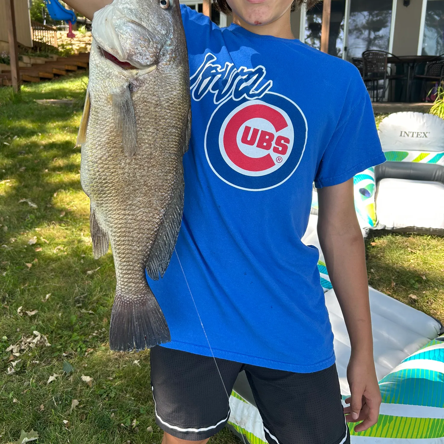 Freshwater drum caught on Fishbrain