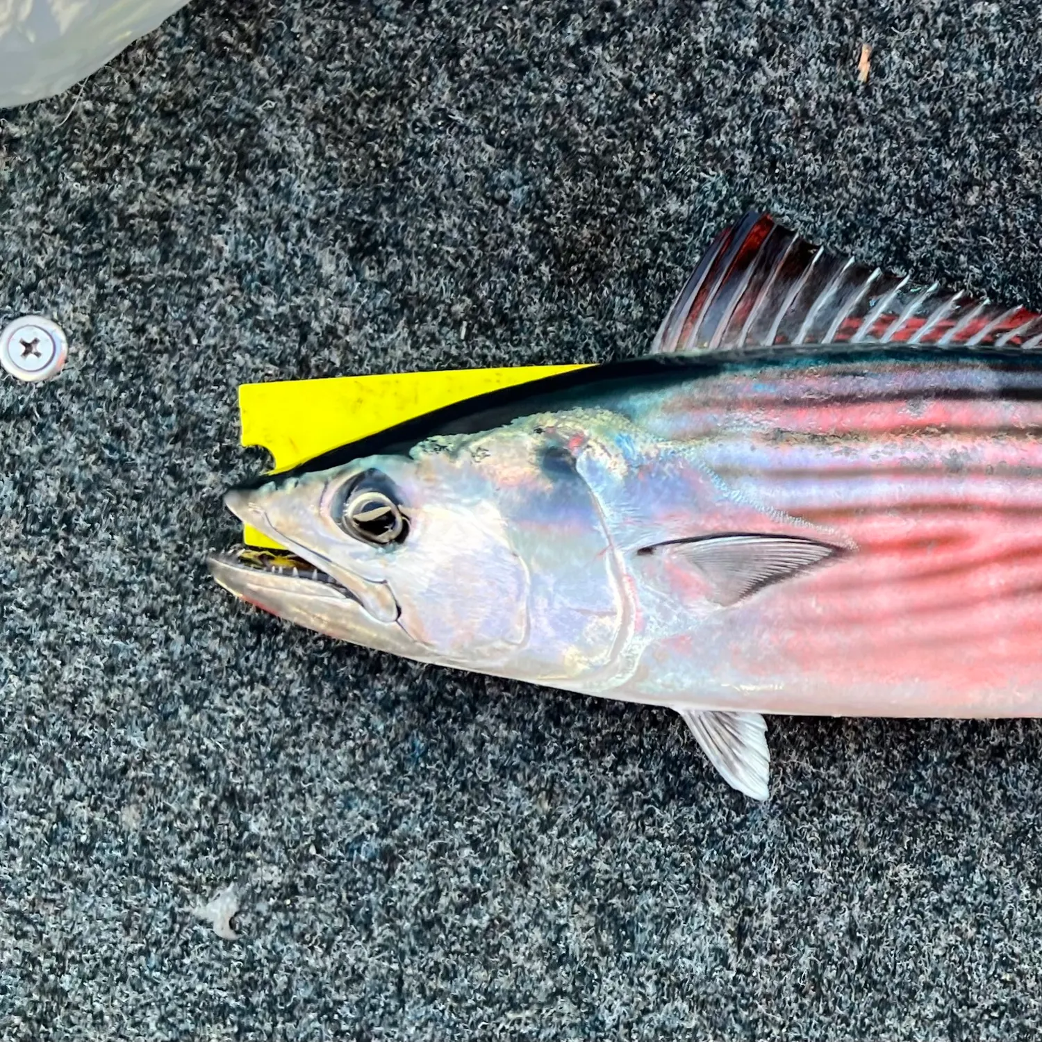 most liked catch image