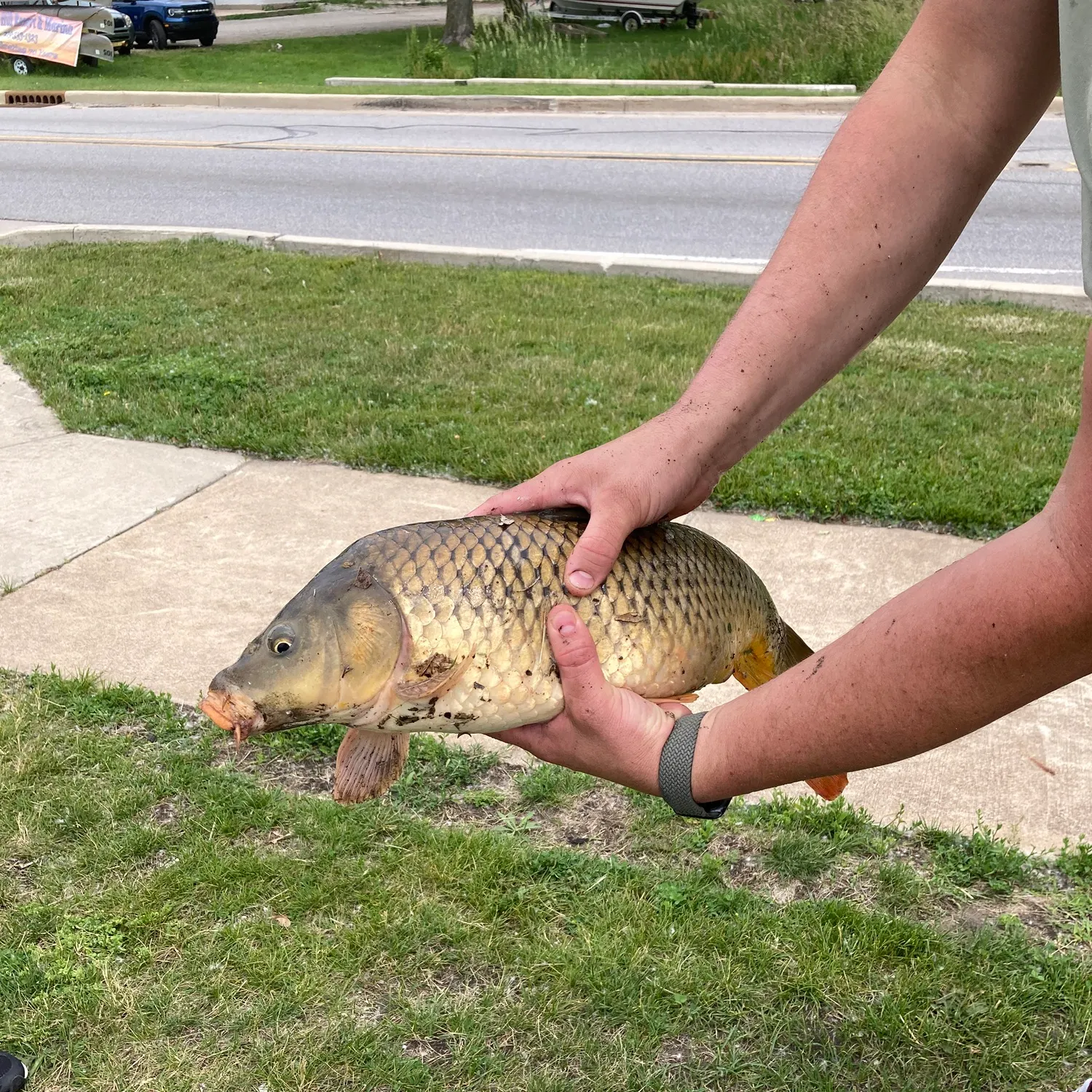 catch