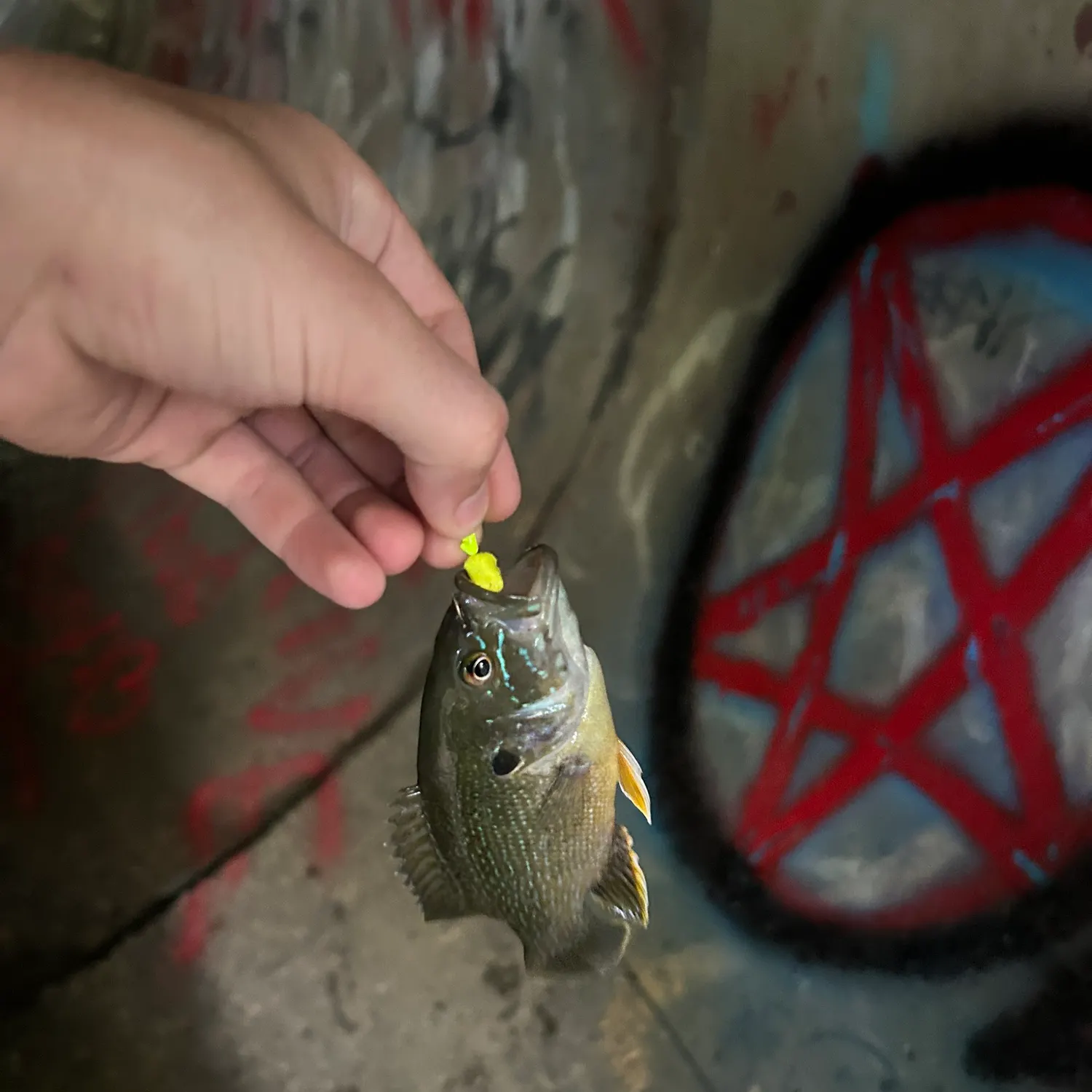 catch