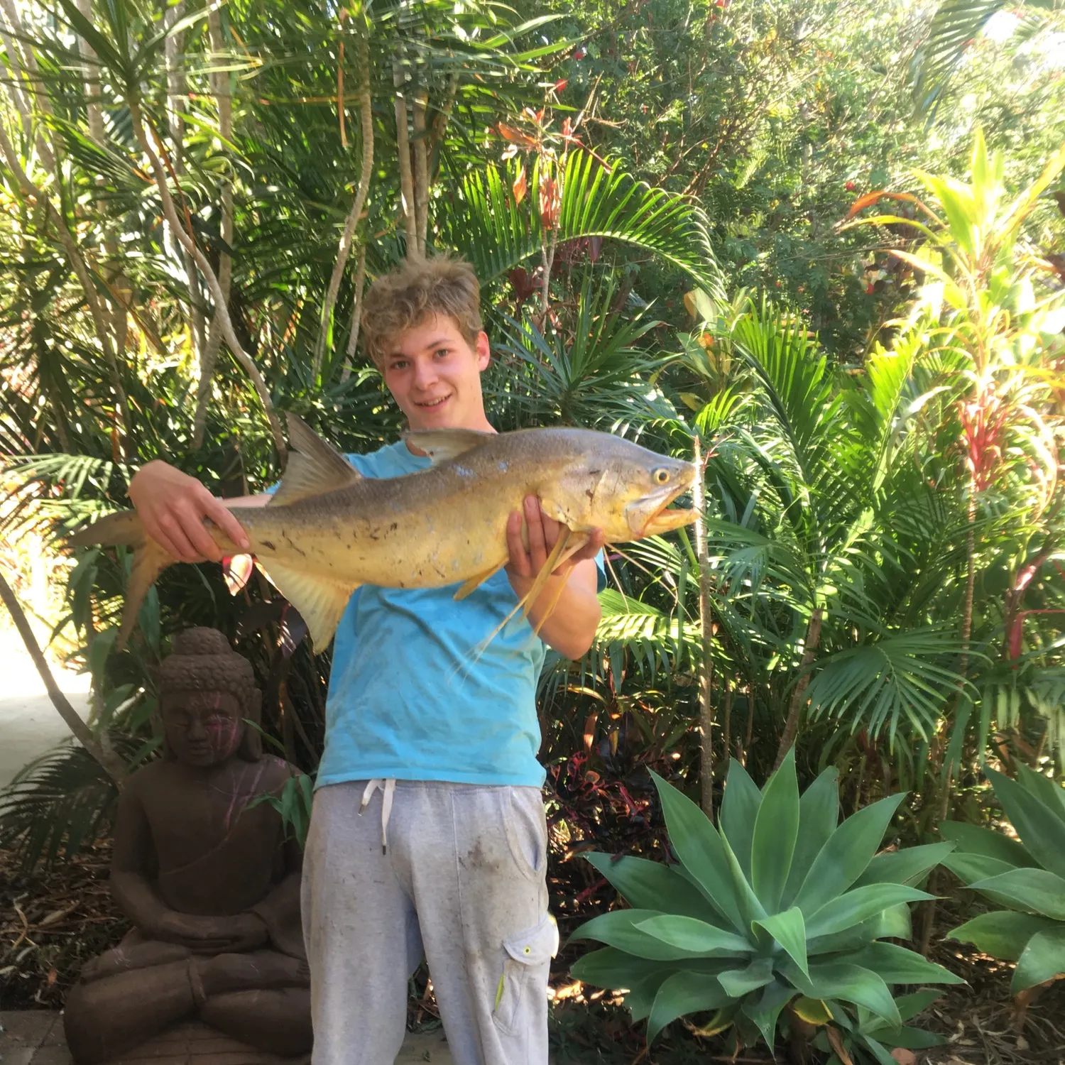 The most recent King threadfin catches on Fishbrain