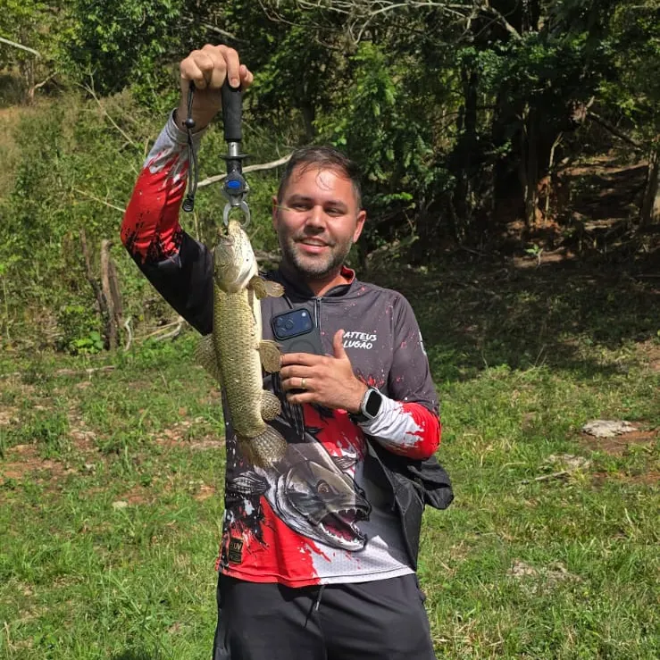 The most recent Trahira catches on Fishbrain