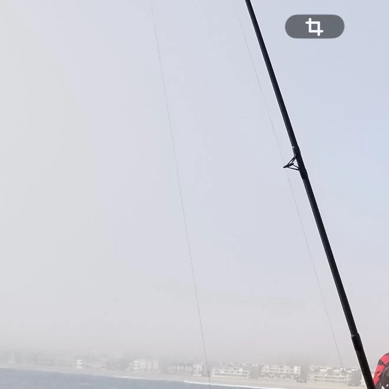 The most recent Red rock crab catches on Fishbrain