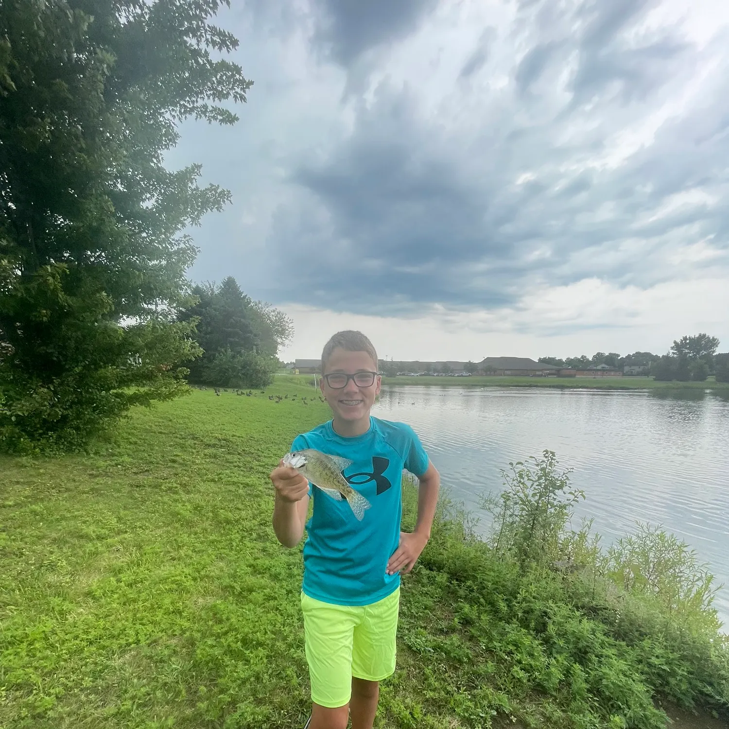 White crappie caught on Fishbrain